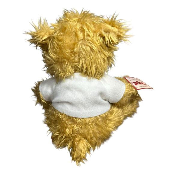 PBC NOAH BENSHEA Feel Better TALKING Animated Plush Stuffed Teddy BEAR w/ Tag - Picture 10 of 14